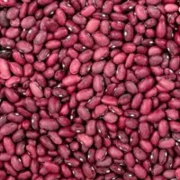 لوبیا و نخود درجه یک تازه برداشت شده بشرط