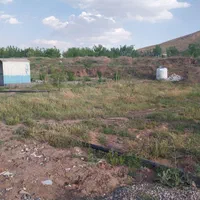 زمین باغ|فروش زمین و ملک کلنگی|قاهان, |دیوار