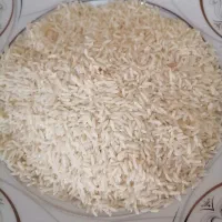 برنج طارم