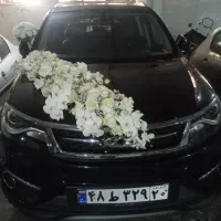 گل آرایی و تزیین ماشین عروس.درمحل شما|خدمات پذیرایی، مراسم|تهران, تهرانپارس غربی|دیوار