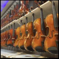 ویولن کریستینا (واردات مستقیم از چین)