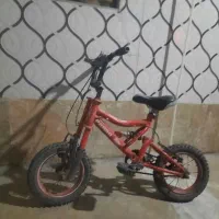 دوچرخه ۱۲ حرفه ای