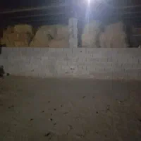 کاه شالی پرس