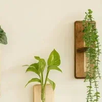 تابلو گیاهی