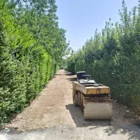 کرایه غلطک اجاره قدرت دارکوبنده زمین یک نواخت کردن|ماشین‌آلات صنعتی|هشتگرد, شهرک سهیلیه|دیوار