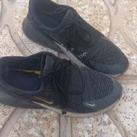 کفش پسرانه. کفش دخترانه. دمپایی. کفش زنانه|کیف، کفش، کمربند|برخوار, |دیوار