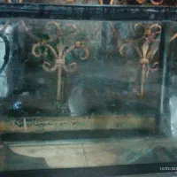 اکواریوم بزرگ