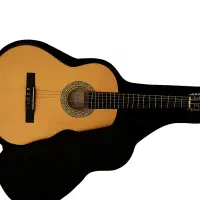 گیتار کلاسیک (مناسب پاپ و فلامینگو تمرین)