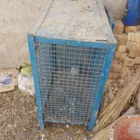 جفت کن یا قفس پرنده یا مرغ خروس|لوازم جانبی حیوانات|شریف‌آباد, |دیوار