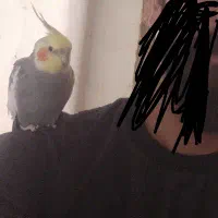 عروس هلندی گمشده