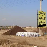 کود گاوی پوسیده و ماسه بادی
