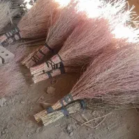 جارو دستی