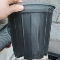 گلدان پلاستیکی