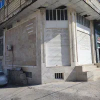 فروش تجاری (لپویی)