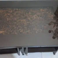 میز جلو مبلی و عسلی