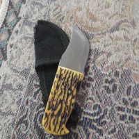 کارد اصل تنه استخونی