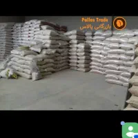 دو تن پیشگام  برای کشت