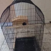 قفس پرنده|لوازم جانبی حیوانات|مشکین‌دشت, |دیوار