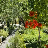 باغ ویلای اجاره ای مروارید بااستخر آبگرم در تربت|اجارهٔ کوتاه‌مدت ویلا و باغ|تربت‌حیدریه, کوی شهید احمدزاده ملکی|دیوار