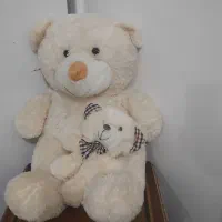 خرس|اسباب‌بازی بچه|گرگان, |دیوار