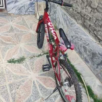دوچرخه  ۲۰ویوا دنده ای