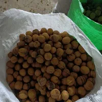 گردو بدون پوست