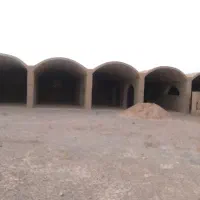 دامداری