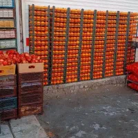 میوه فروشی عمده