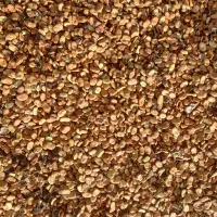 باقالا ۷بند تضمینی تناژ بالا قیمت ۱۲۰ هزار تومان