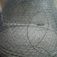 دماغه و گرگور سازی