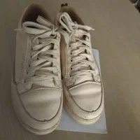 کفش|کیف، کفش، کمربند|برخوار, |دیوار