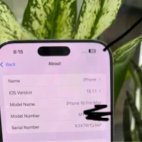 آیفون ۱۶ پرومکس باطری ۱۰۰درصد|موبایل|اهواز, اهواز|دیوار