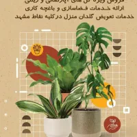خدمات تعویض و درمان گل و گیاه در منزل و محل شما