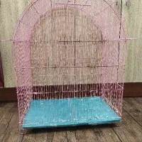 قفس پرنده