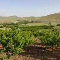 زمین کشاورزی 1900متری در روستای قلیان|فروش زمین و ملک کلنگی|سنندج, |دیوار
