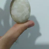 گوهر شب چراغ