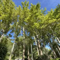 استخدام کارمند خانم برای شرکت بازرگانی