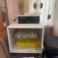 دستگاه جوجه کشی خانگی نوری زاده