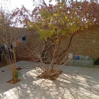 فروش منزل ویلایی علی آباد ملا علی|فروش خانه و ویلا|حبیب آباد, |دیوار