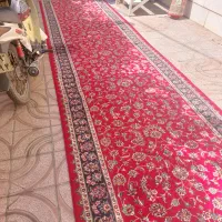 فرش کناره تراکم بالا و زیبا|فرش|لنجان, |دیوار