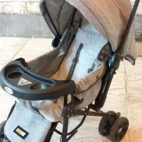 کالسکه دلیجان  سالم