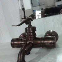 یک عدد شیر نو