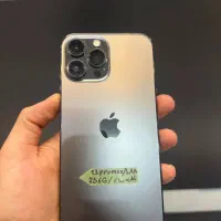 13 pro max
