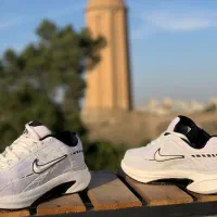 نایک intitor|کیف، کفش، کمربند|گنبد کاووس, |دیوار