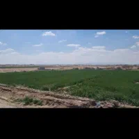 زمین-با-یک-ساعت-آب-در-هفته
