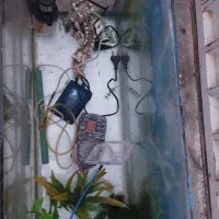 آکواریوم شرکتی و بزرگ|ماهی|دشتابی, |دیوار