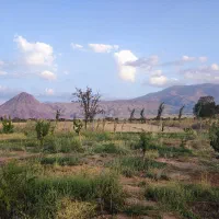 باغ در مرند|فروش زمین و ملک کلنگی|کشکسرای, |دیوار