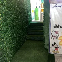 کلیه خدمات موکت و فرش نصب چمن مصنوعی|موکت|همدان, |دیوار