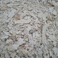 نان خشک طلا
