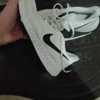 دو عدد کتونی اورجینال